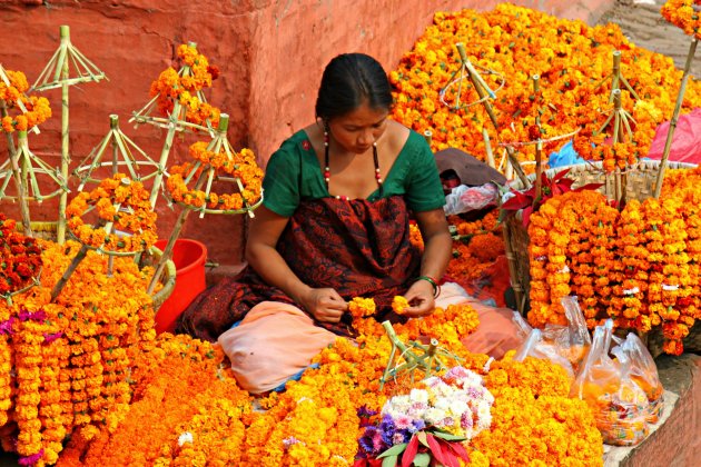 Oranje! Tihar festival