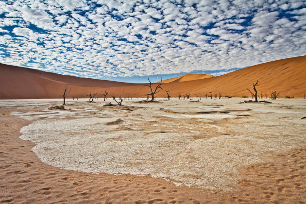 Dode Vlei komt tot leven