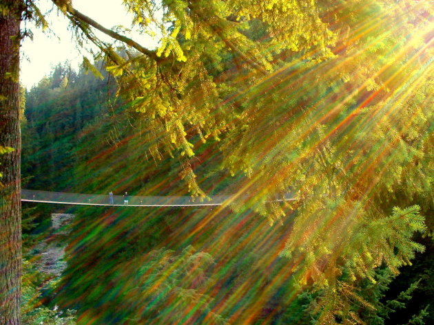 Suspense on a bridge