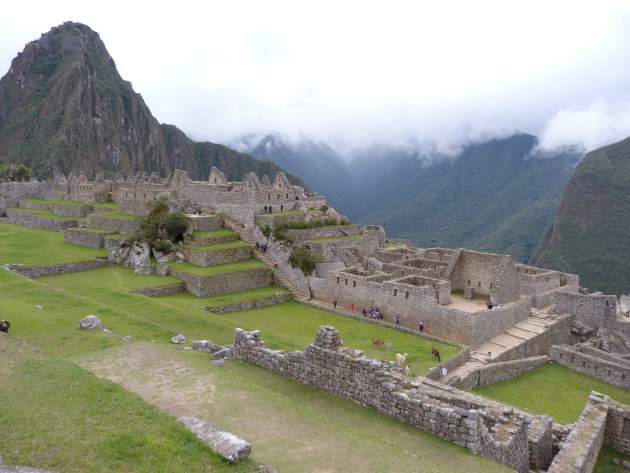 Uitzicht over Machu Picchu