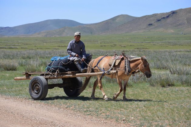 Gids in Oost-Mongolië