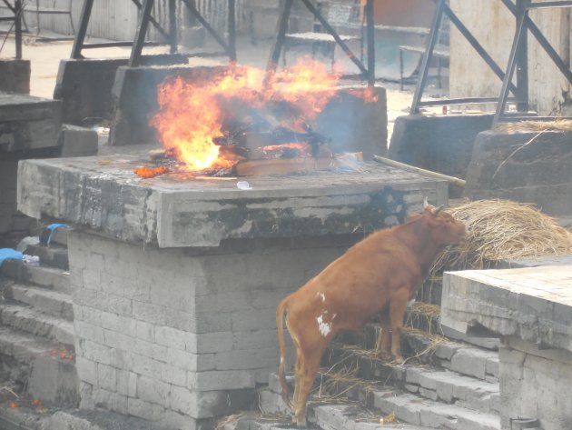 Lijkverbranding in Nepal