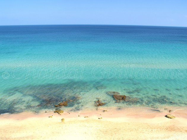 Fuerteventura