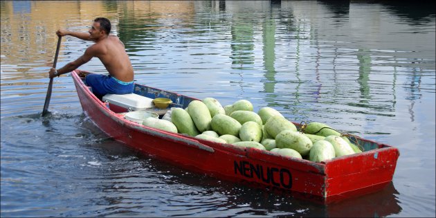 Groente en fruit uit Venezuela