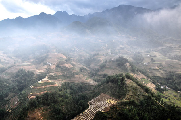 Mist in Sapa