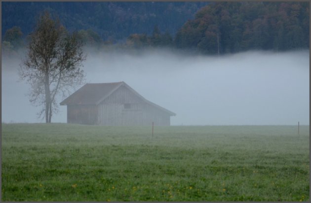 Laaghangende mist