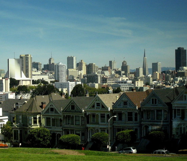 Painted Ladies