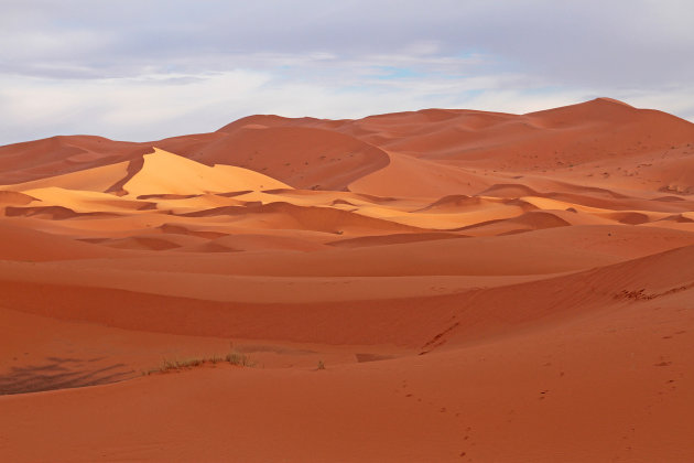 zandduinen