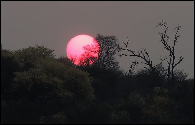 Okavango-sunrise. 