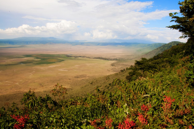 Ngorongoro krater