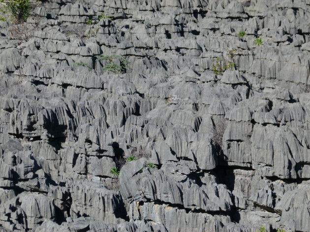 Plateau van PN de l'Ankarana