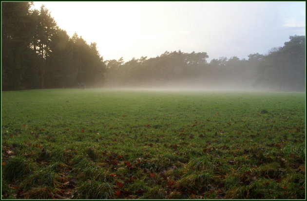 groene kerst