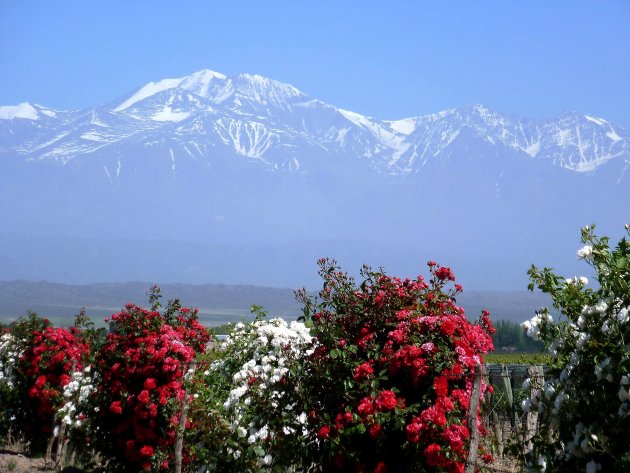 De Aconcagua