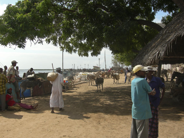 Lamu Ocean Boulevard