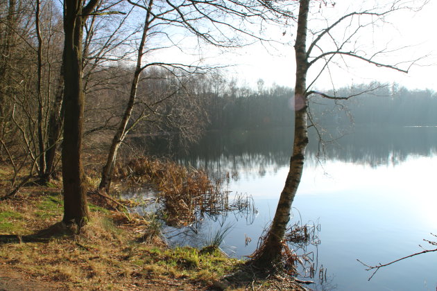 Natuurgebied Witteveen