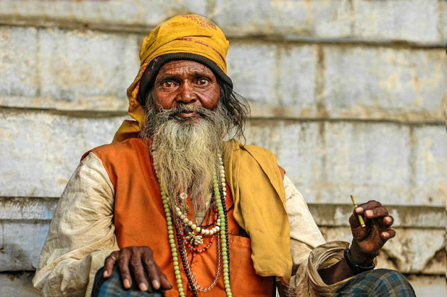 saddhu udaipur