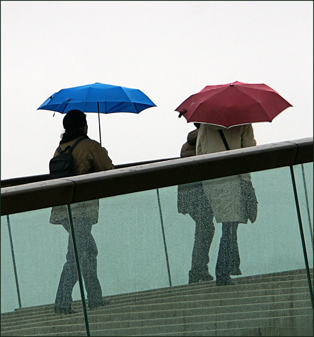 The Blue Umbrella