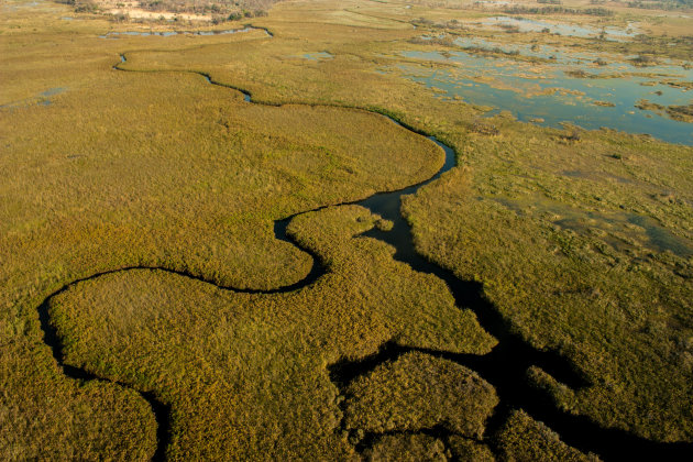 okavango by air