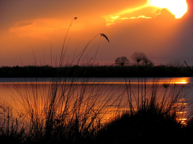 Okavango sunset