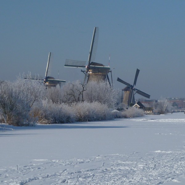 '483684' door YvanderWeijden