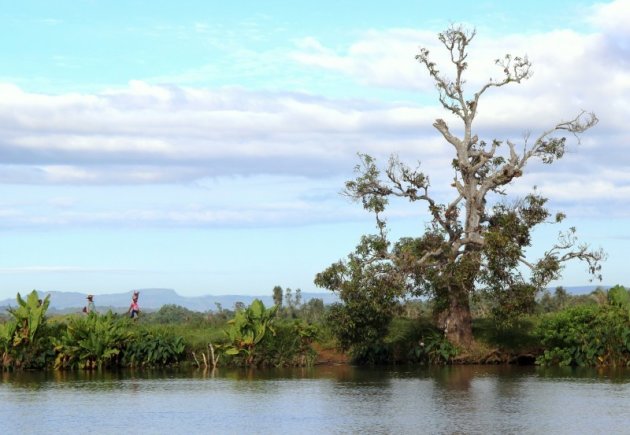 Pangalanes Canal