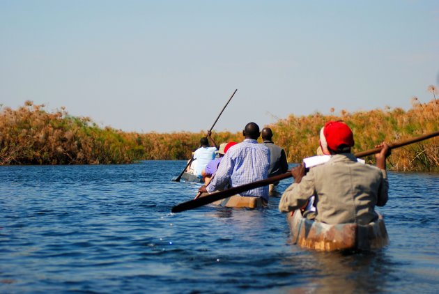 Okavango delta