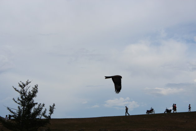 Mongolie; rondreis