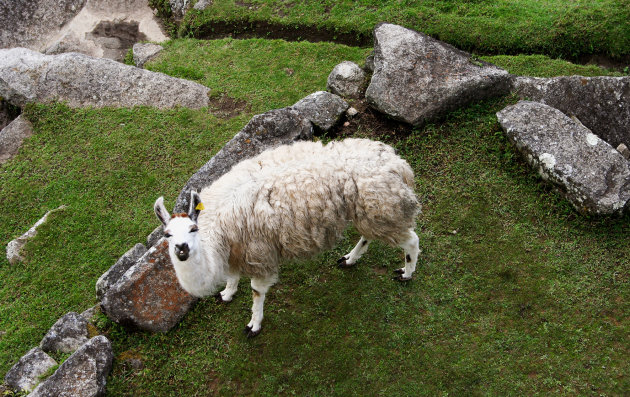 onderonsje in Peru