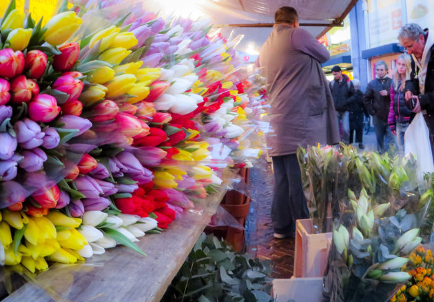 Mag ik een bos tulpen?