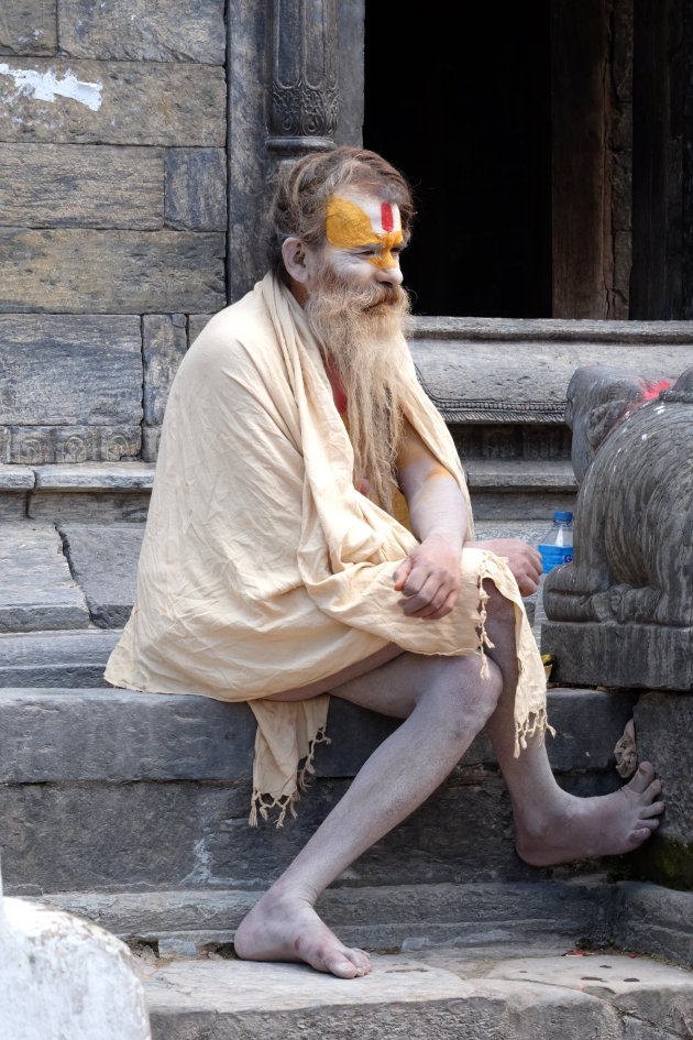 De naakte sadhu