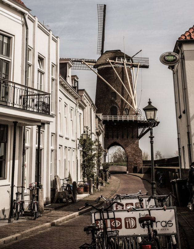 De molen Rijn en Lek.