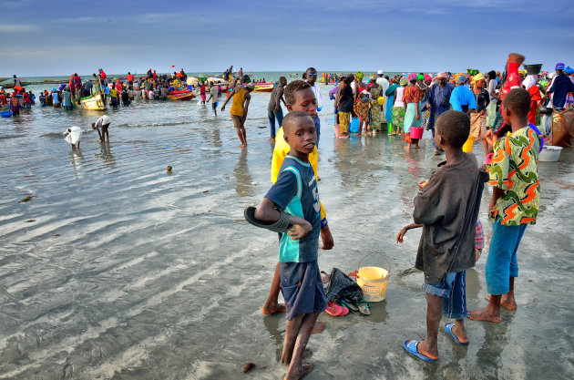 Visafslag op het strand van Tanji