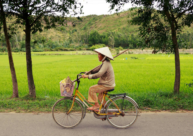 Vrolijke vietnamees op de fiets