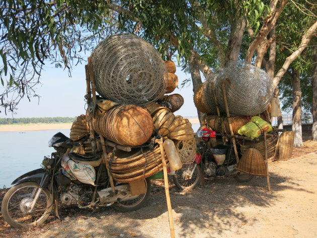 Negotie in Kratie