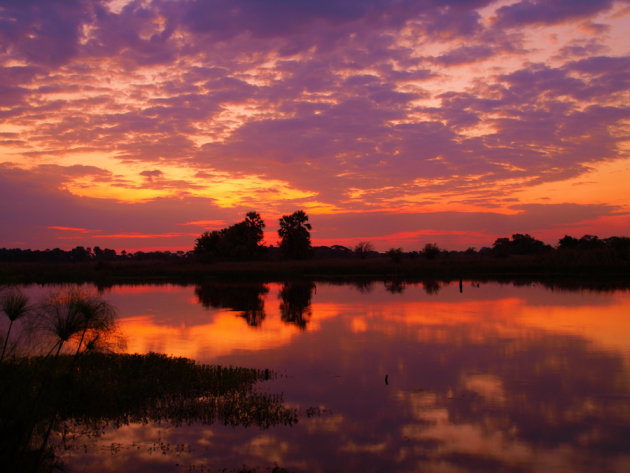 Okavango sunset