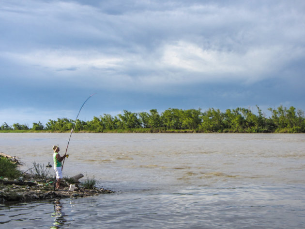 Visser aan de Rio Paraná