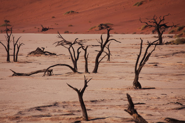 Deadvlei