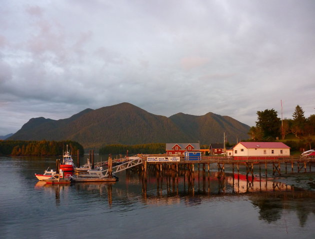 Tofino