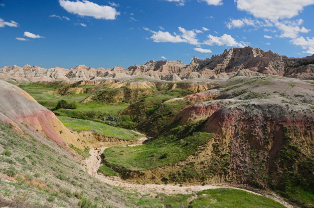 Groen in de Badlands