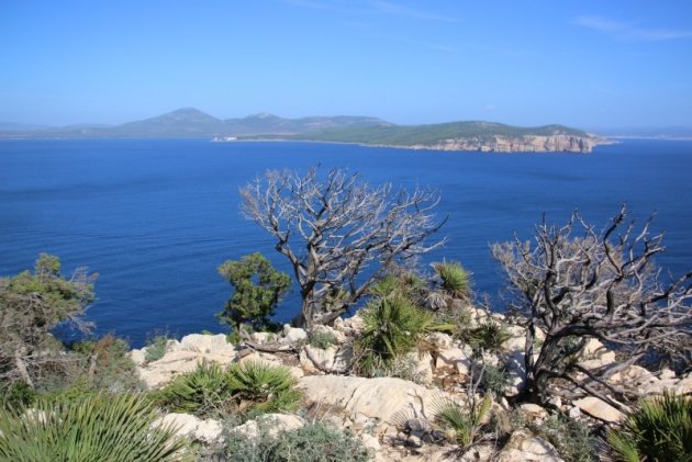 Uitzicht vanaf Capo Caccia