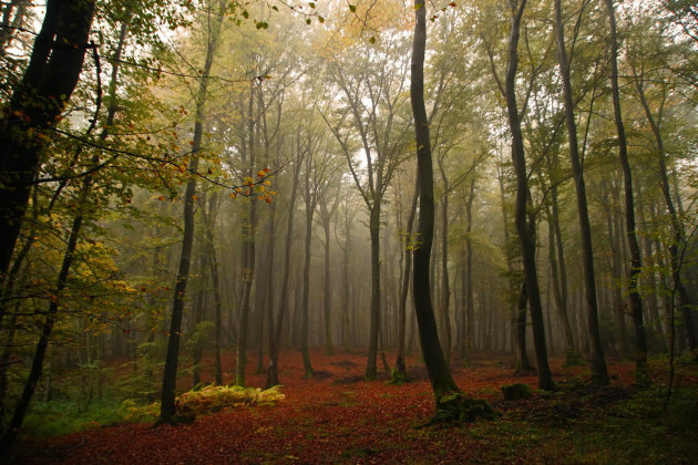 Herfst in de Eifel