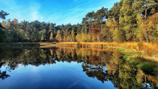 De kleine heide