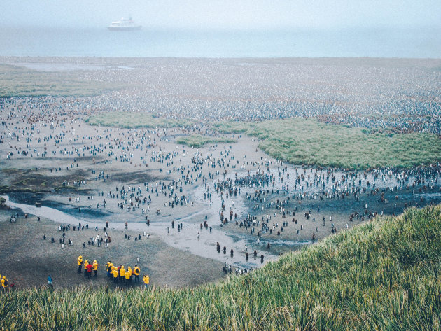 Deel II Hoe boek ik een reis naar Antarctica