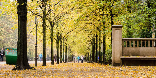 Tiergarten park