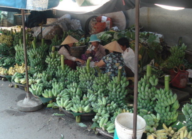 Bananen in de aanbieding op de markt van Hué