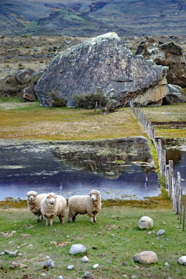 Van El Calafate naar Lago Rocca