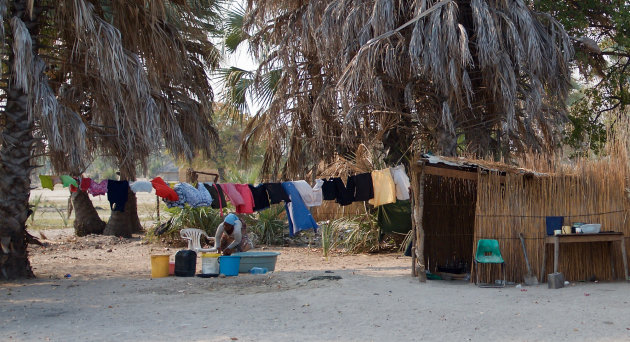 Het leven in Moremi Wildlife Reserve