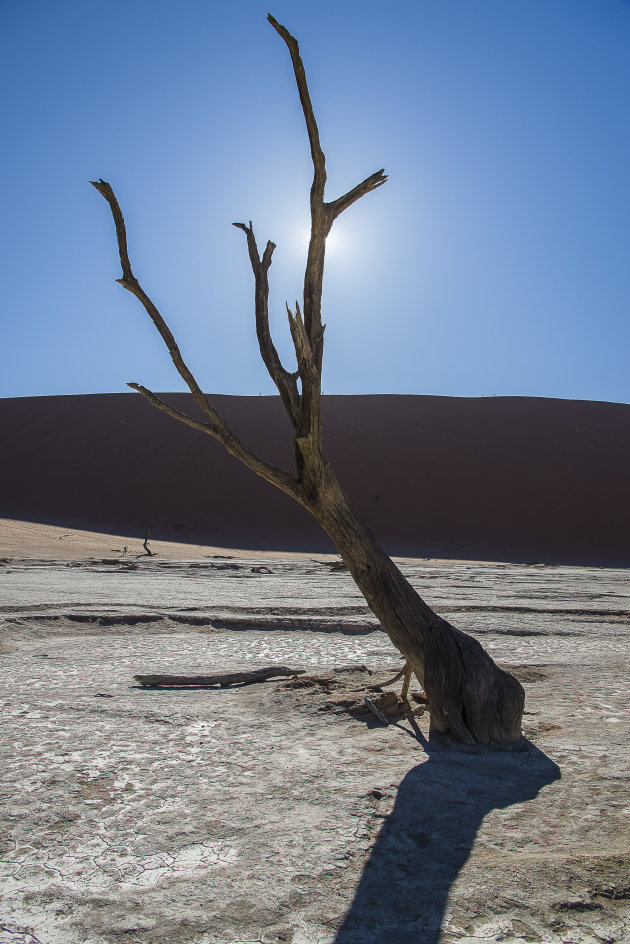 Deadvlei