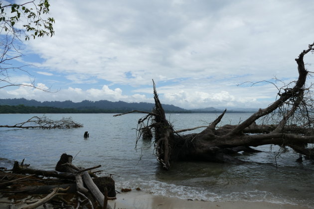 National Park Cahuita