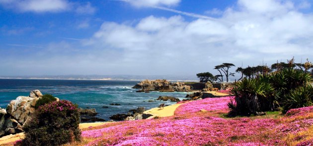 Monterey bay